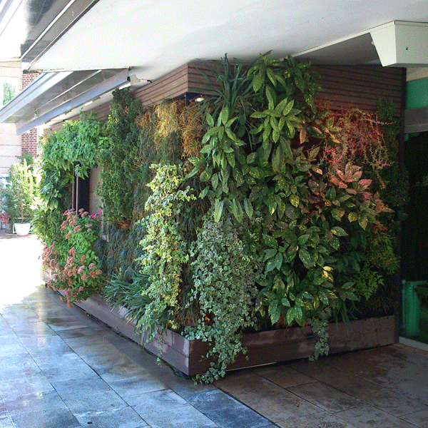 دیوارسبز فضای باز