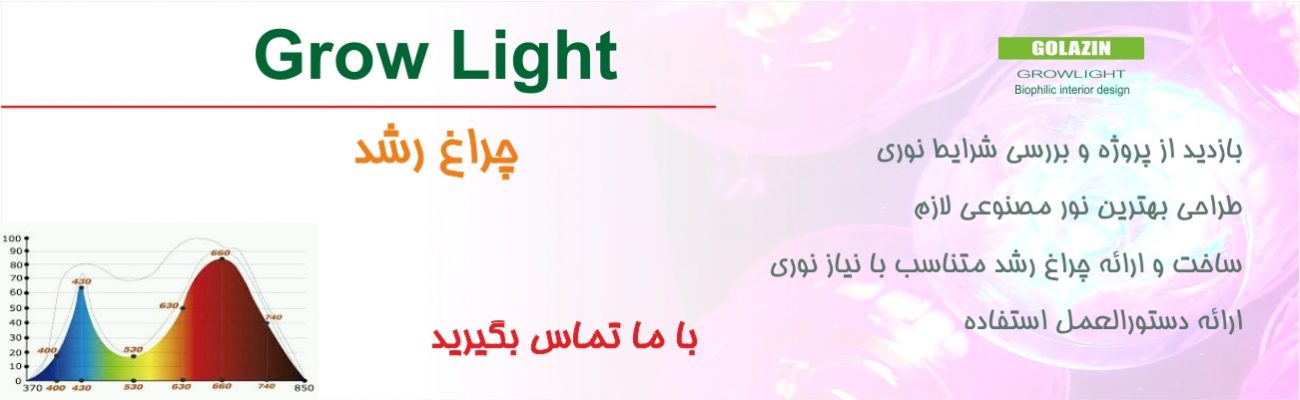 چراغ رشد