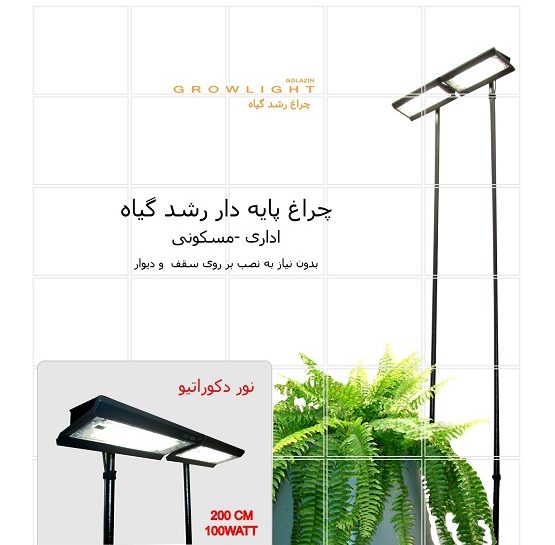لامپ رشد پایه دار گل آذین