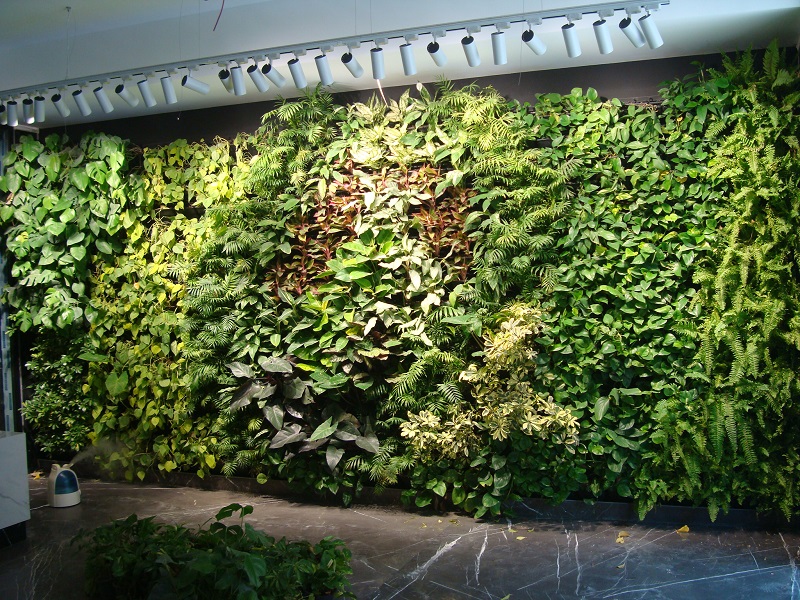 دیوار سبز لابی
