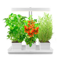 HerbaLux™ Height-Adjustable Grow Light ...